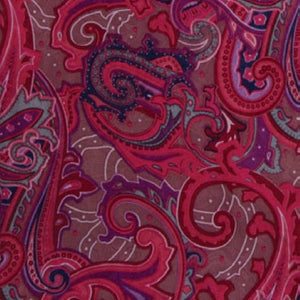 Wyoming Traders Silk Wild Rag Paisley - BL/GLD